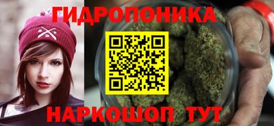 крисы Ипатово