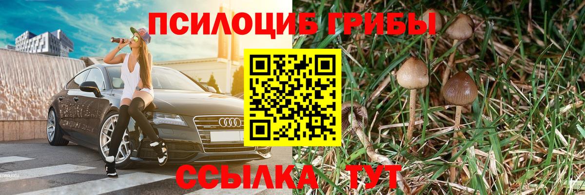 Альфа ПВП Курчалой